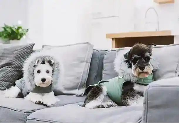 Cappottino per cani imbottito in pile con cappuccio TouchDog by Dog Moda