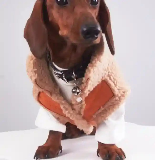 Cappotto Cani Bassotto Waffle Pile Lungo Smanicato by Dog Moda