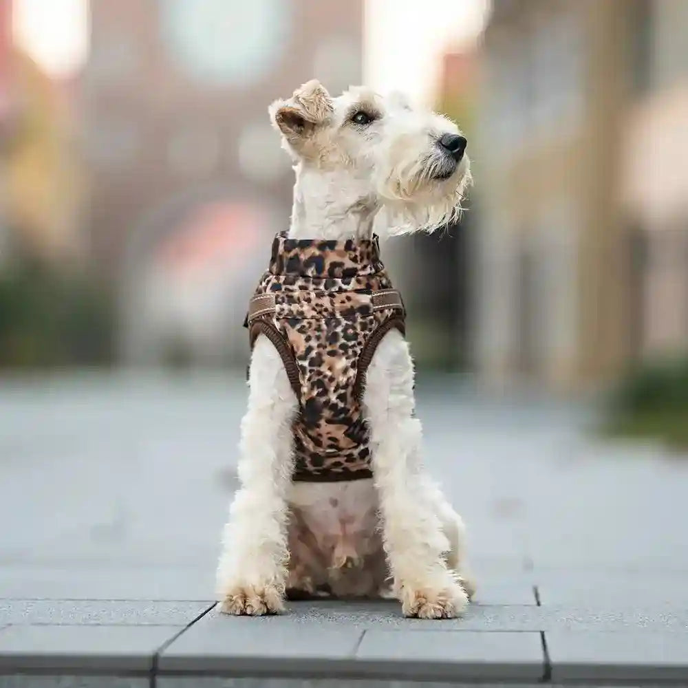 Cappotto Impermeabile Cani Comet Leopardato con Pettorina by Dog Moda
