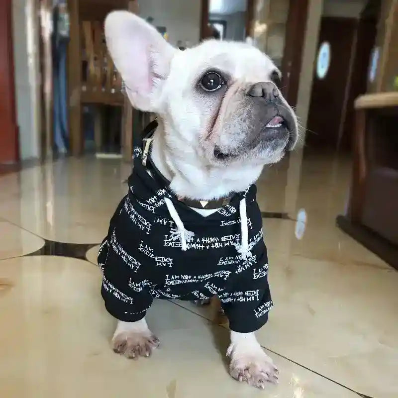 Felpa per cani con cappuccio sportivo – Comfort e stile per il tuo amico a quattro zampe by Dog Moda