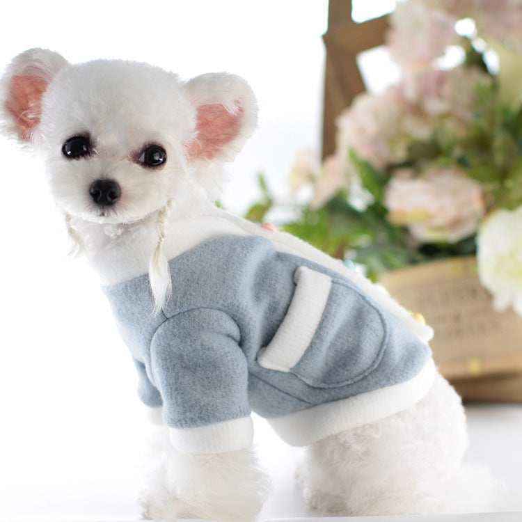 Cappottino per Chihuahua "Berry" – Caldo, Morbido e Super Chic! ✨ by Dog Moda