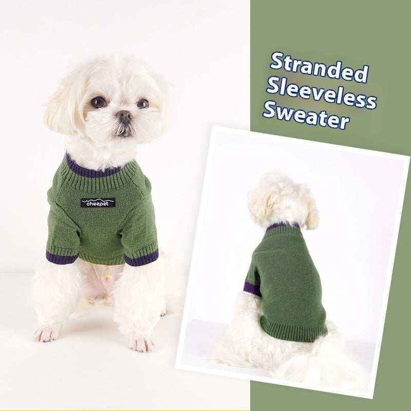 White dog wearing green sleeveless sweater with navy trim sitting on white background