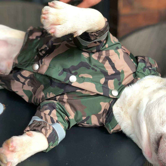 Impermeabile per cani e Bulldog francese riflettente "Manaus" by Dog Moda