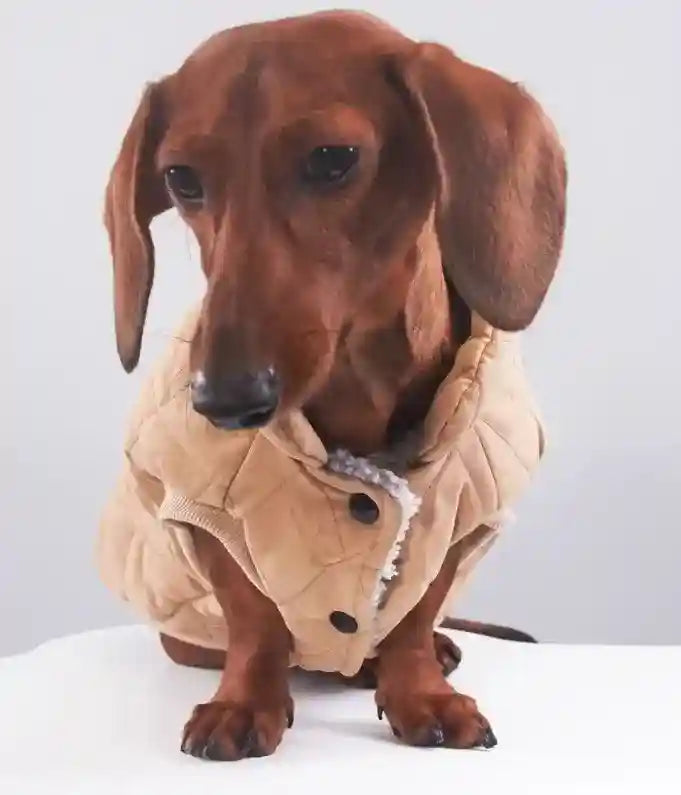 Cappotto Bassotto Dolce Trapuntato Rombi Imbottito Pile by Dog Moda
