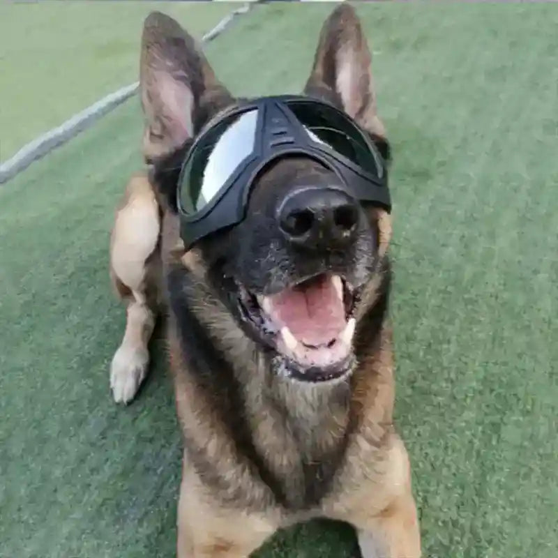 Maschera Protettiva per Cani SolShield - Massima Protezione dal Sole, Vento e Sabbia by Dog Moda