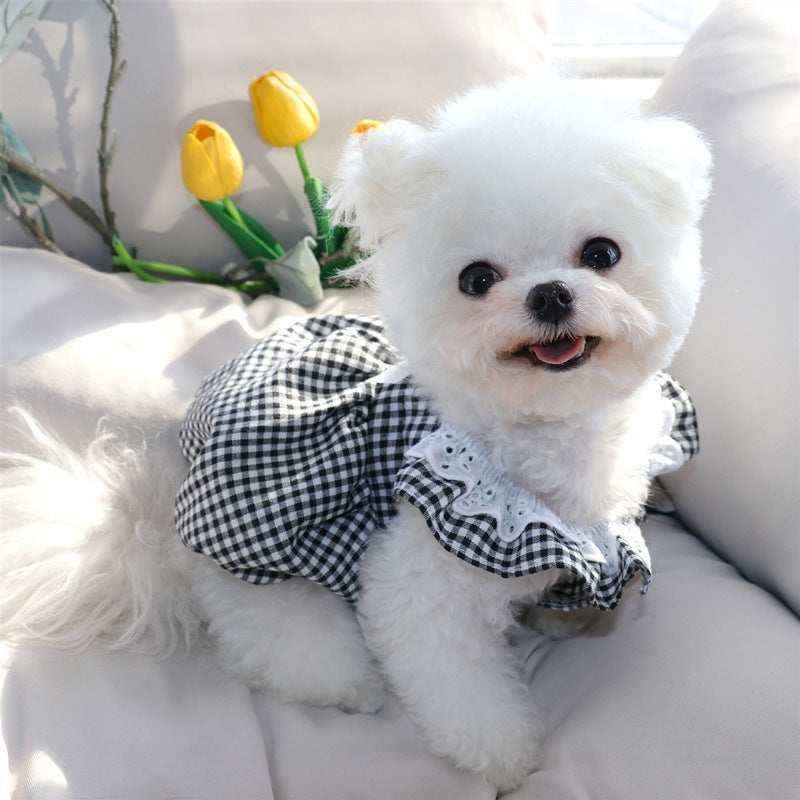 Tutina Estiva Fashion Princess per Cani di Piccola Taglia - Dog Moda