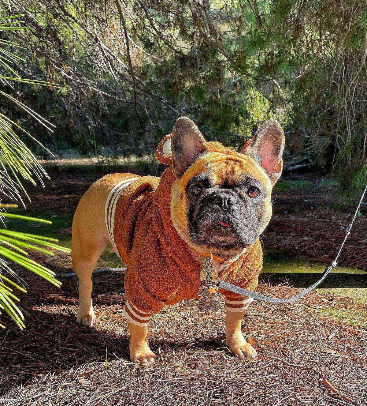 Felpa per Cani in Pile "Fleece" Cappuccio e Orecchie Morbida e Calda by Dog Moda