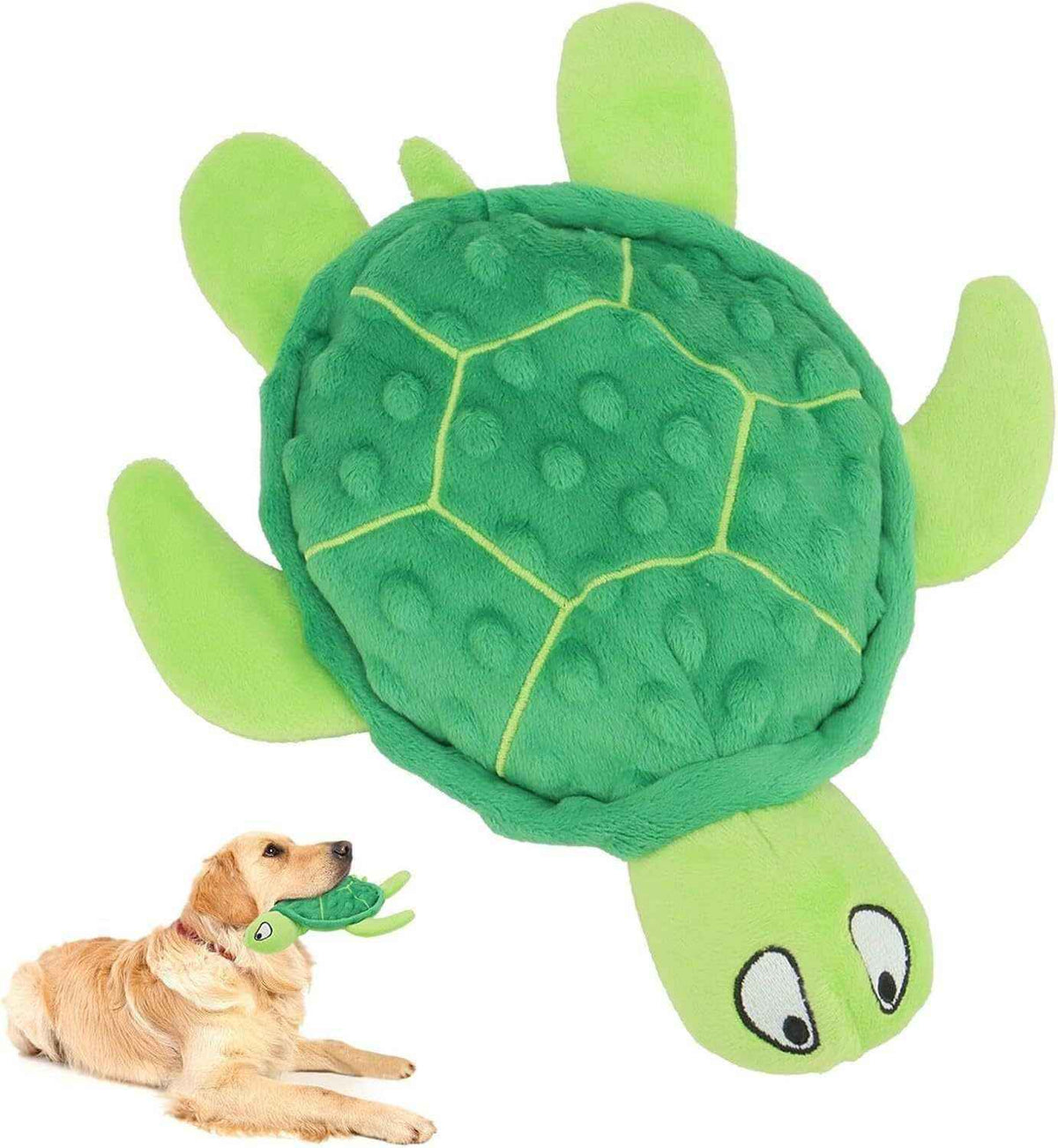 Green plush turtle dog toy with raised shell texture, held by golden retriever dog