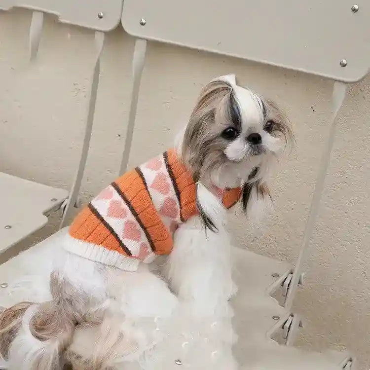 Small dog with long white and brown fur wearing orange heart-patterned sweater sitting on beige chair
