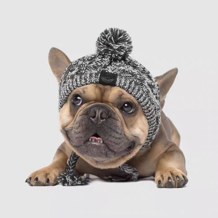 Cappello in Lana per Cani Piccola Taglia "Saint Moritz" - Eleganza e Comfort Invernale