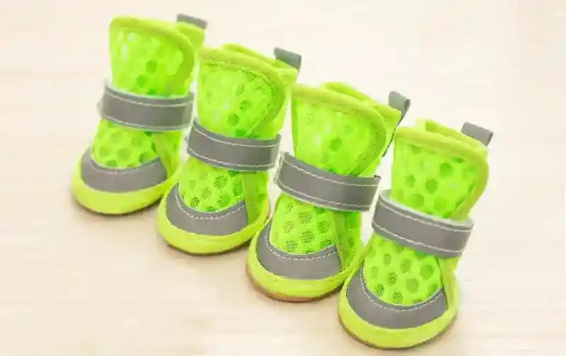 Set di quattro scarpe per cane "Runner Fluo" by Dog Moda