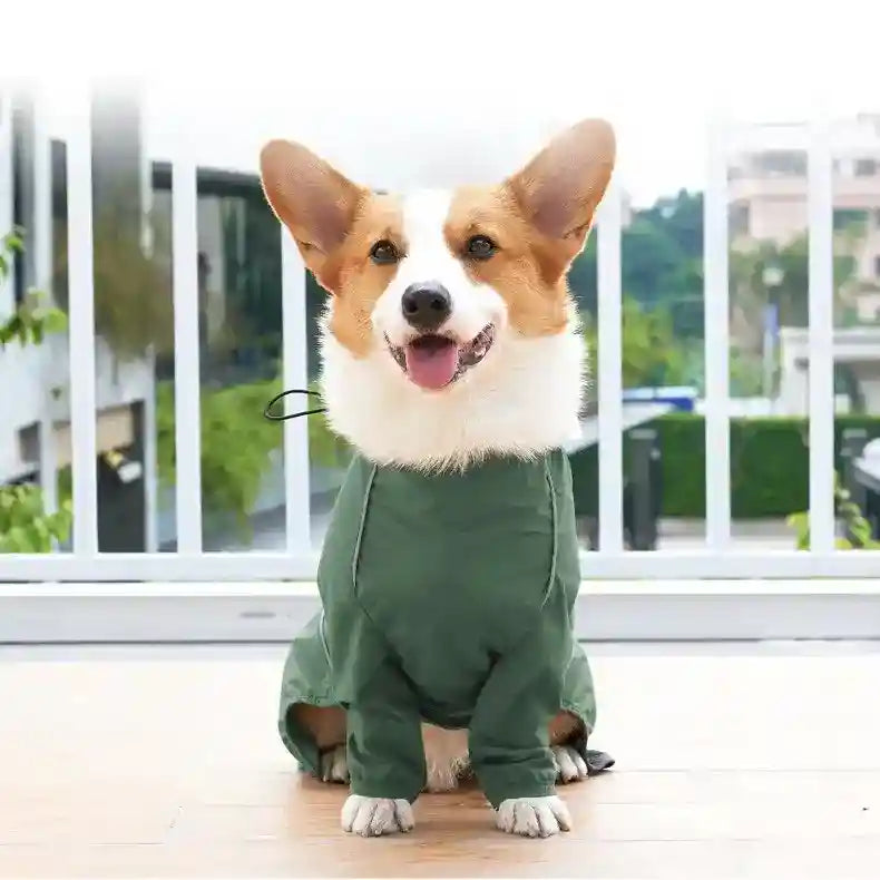 Impermeabile per cani "Tewua" by Dog Moda
