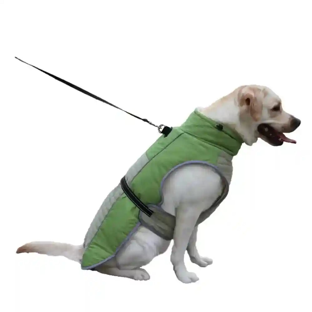 Cappotto Imbottito per Cani "Aosta" - Comfort, Stile e Praticità by Dog Moda