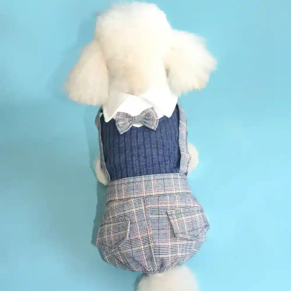 White poodle wearing blue plaid outfit with bow tie sitting on light blue background