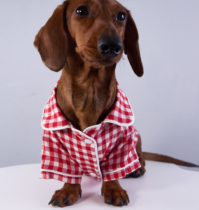 Pigiama Cozy Dreams per Cani - A Quadretti con Chiusura by Dog Moda