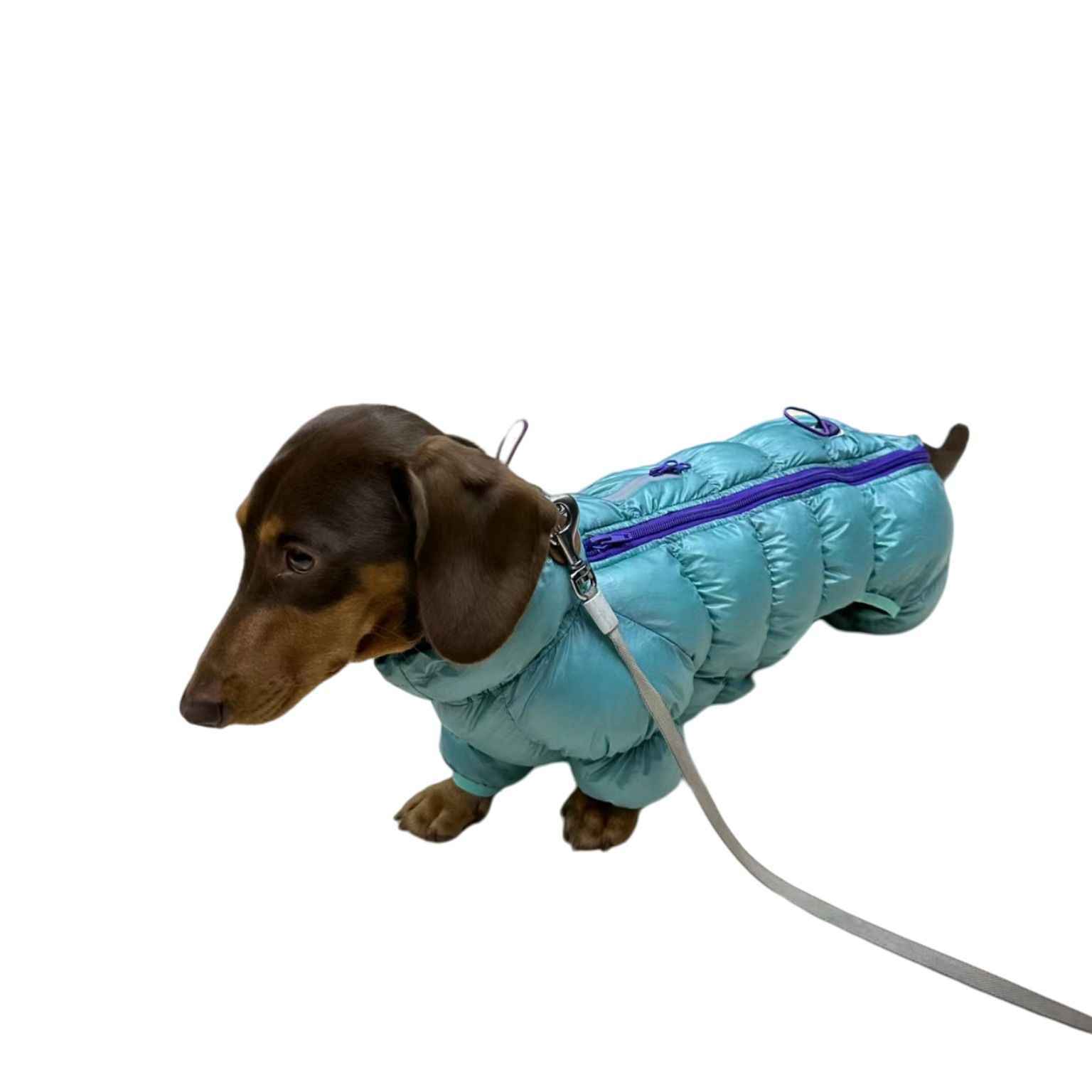 Dachshund Down Jacket "Balto" Model - Comfort and Style for Your Four-Legged Friend