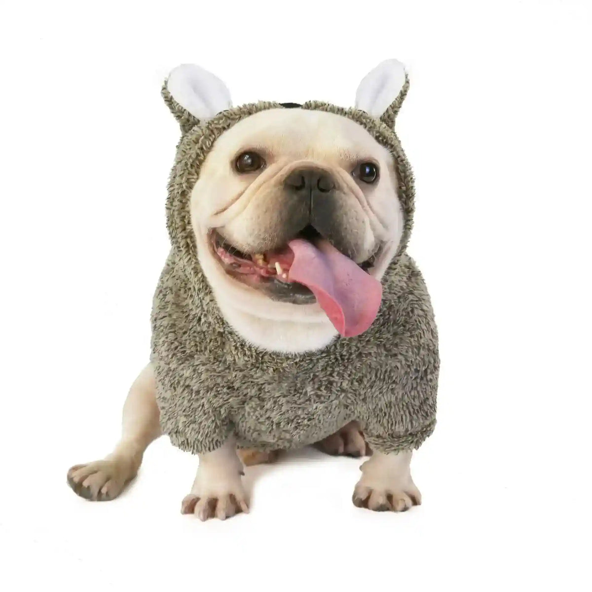Happy French Bulldog wearing a gray fuzzy animal costume with ears, tongue out on white background