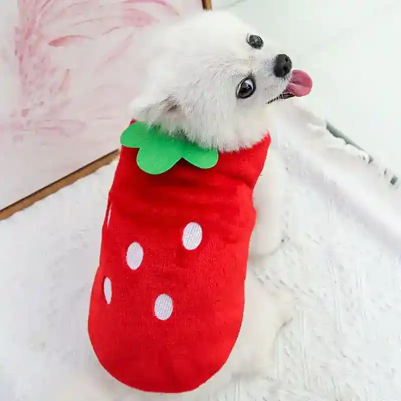 Vestito per Cani in Pile Oreste | Smanicato, Fantasie Uniche by Dog Moda