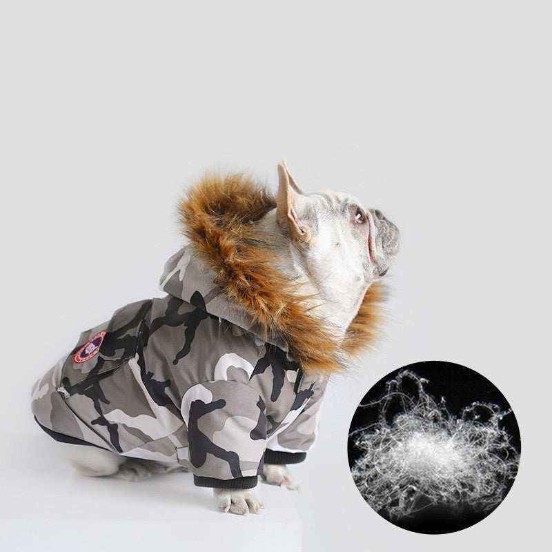 French bulldog wearing gray camouflage winter coat with fur hood sitting on white surface