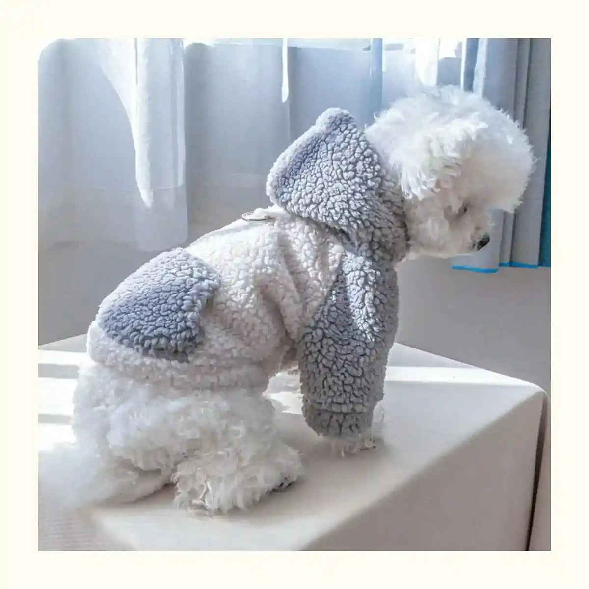 Cappotto per cani “Lamb” con cappuccio in pelo d’agnello