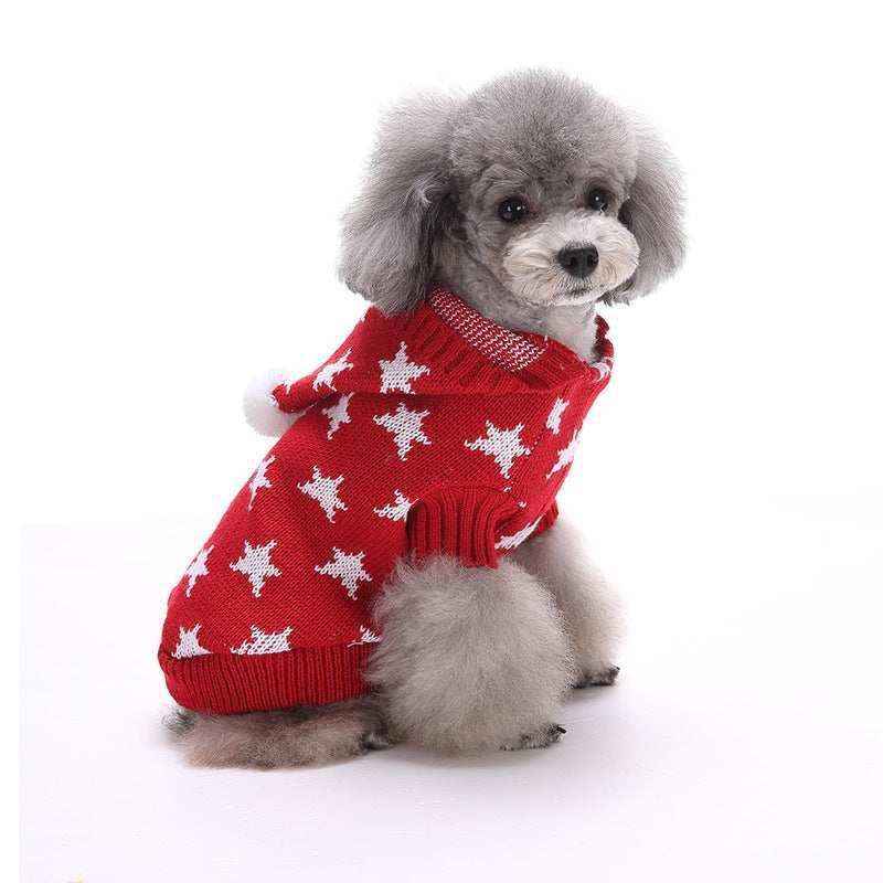 Small gray poodle wearing a red star-patterned knit sweater sitting on white background