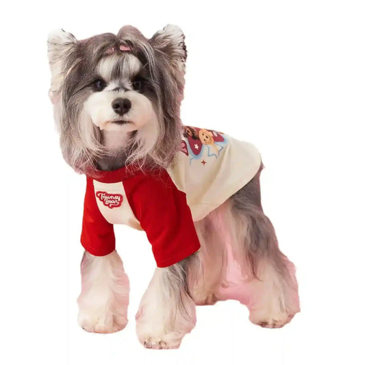 Small dog with long gray and white fur wearing a red and cream graphic dog shirt