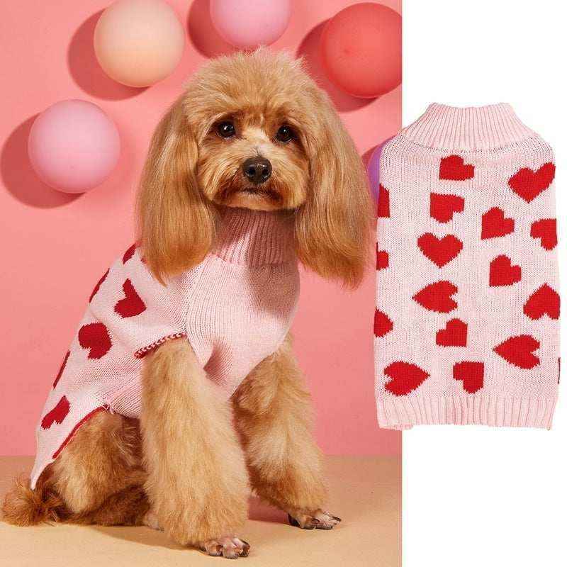 Small brown dog wearing a pink sweater with red hearts in a pink room with pastel balloons