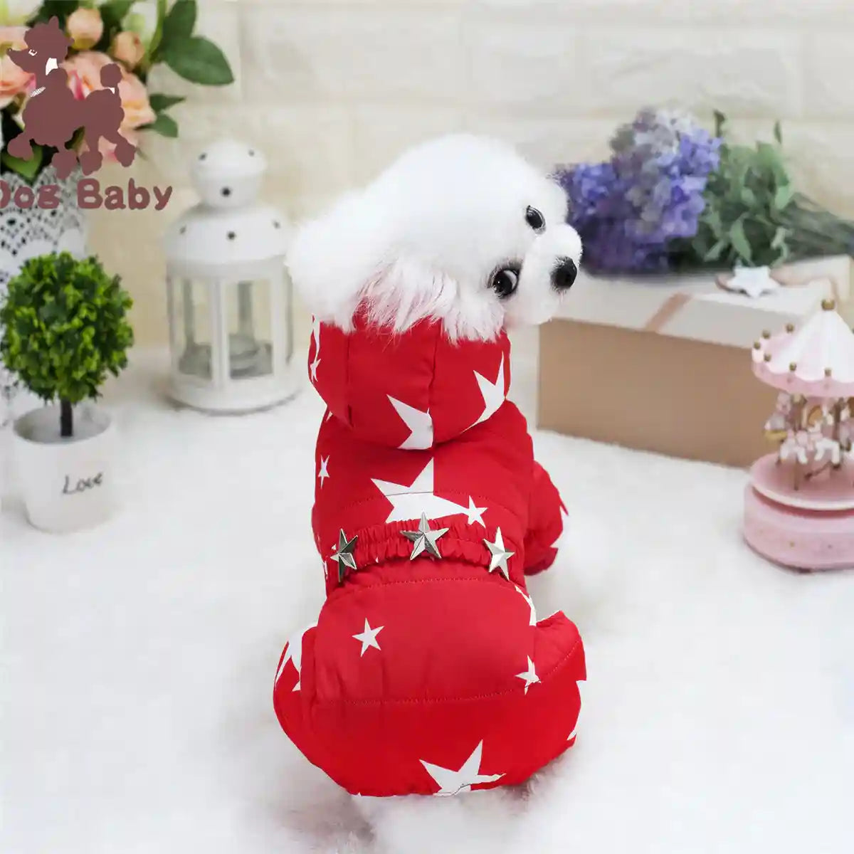 Cappotto Aurora per Cani con Stelle - 4 Zampe Cappuccio by Dog Moda