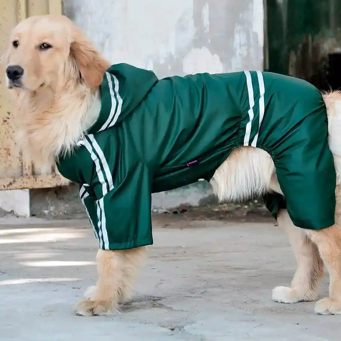 Impermeabile per cani grandi Thunder con bande riflettenti