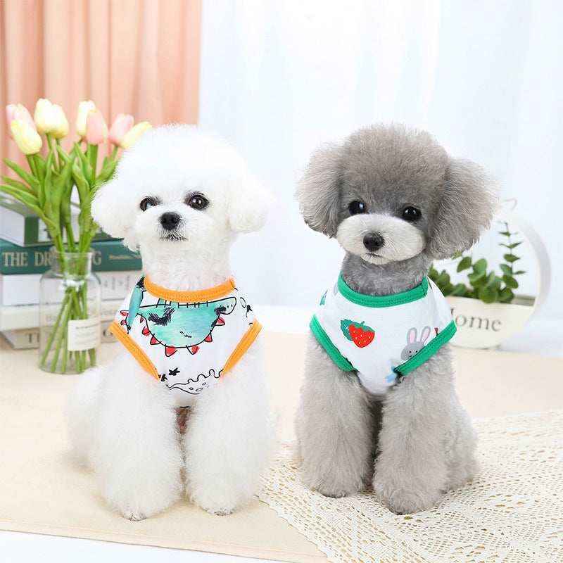 Two small poodles in colorful cartoon print dog shirts sitting indoors with flowers and books in background