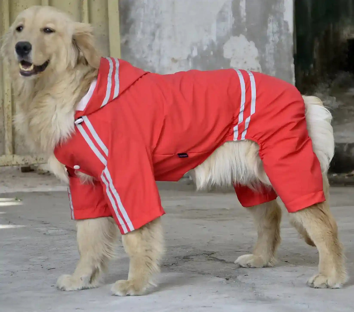 Impermeabile per cani grandi Thunder con bande riflettenti - foto 12