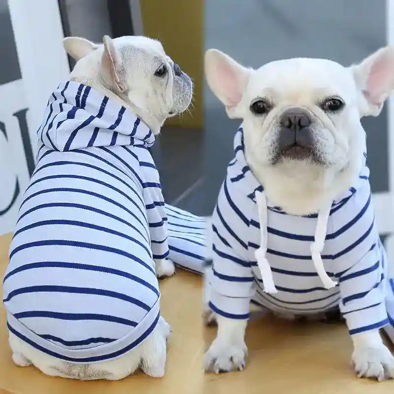 Maglietta per cani con cappuccio "Love Boat" by Dog Moda