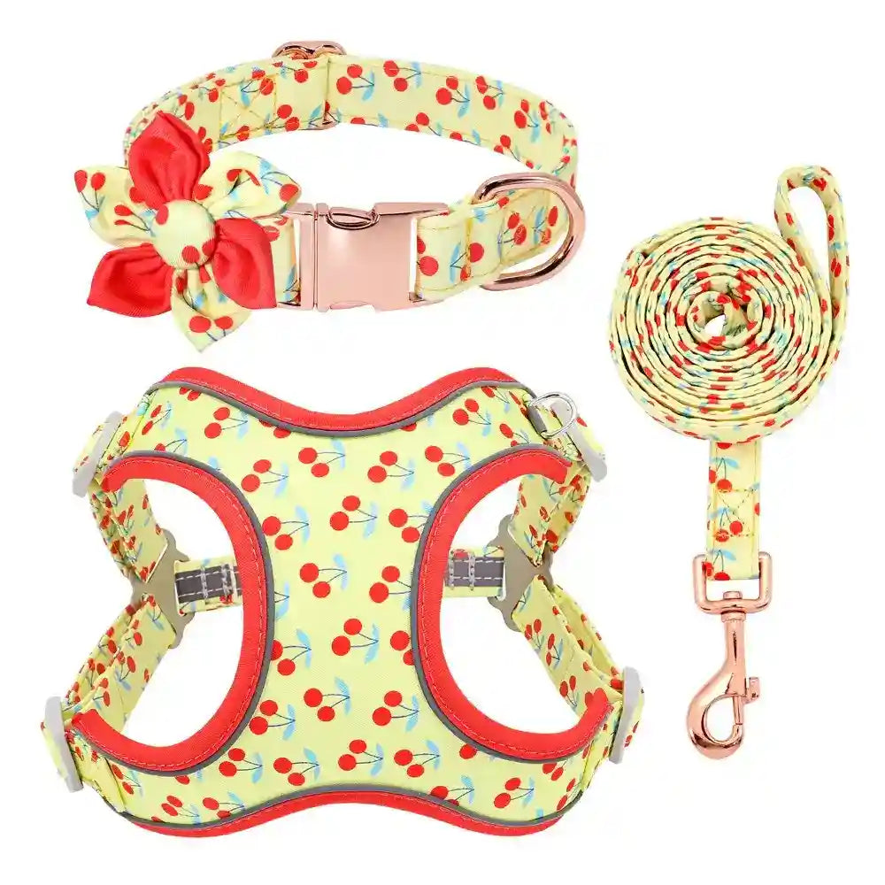Pettorina per cani "Summer" set completo con collare - Cheepet by Dog Moda