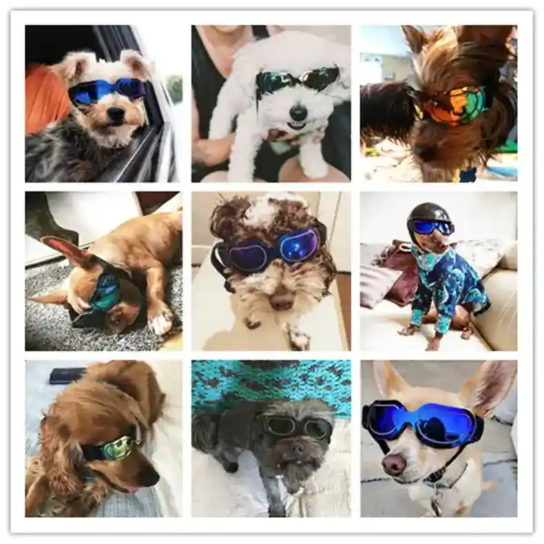 Occhiali da Sole per Cani - Protezione UV Anti-Vento by Dog Moda