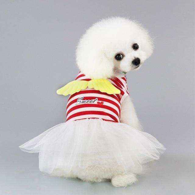 Small white poodle dog wearing red striped dress with yellow wings and white tutu on gray background