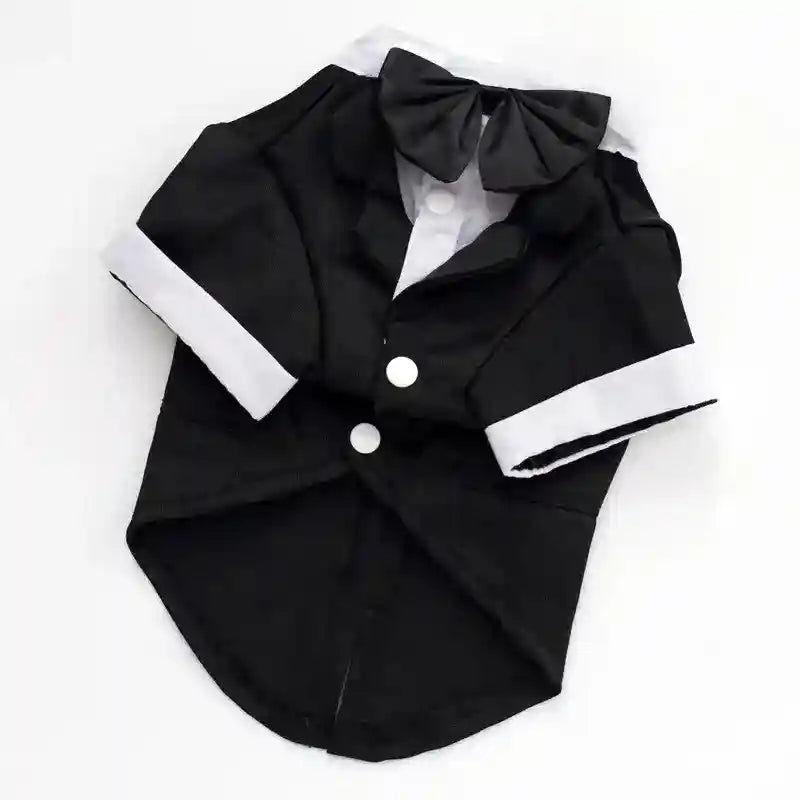 Smoking vestito cerimonia per cani "Filippo" by Dog Moda