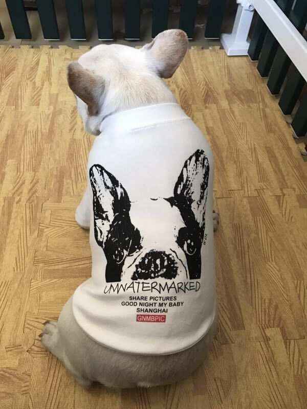 Maglia "Unwatermarked" per Bulldog Francese con Stampa Sul Dorso by Dog Moda