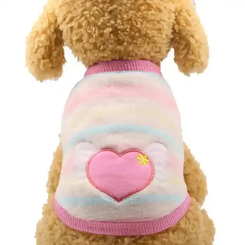 Small dog wearing pastel striped sweater with pink heart and wing design on back