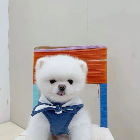 Dog T-shirt with scarf "BeautyDog"