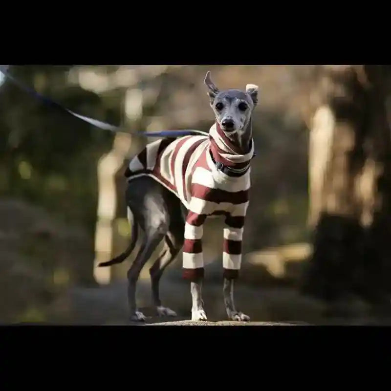Maglia per cani di taglia media e grande a righe per levrieri by Dog Moda