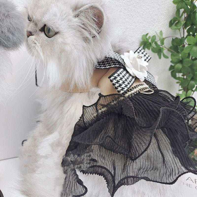 White fluffy cat wearing a black lace dress with a houndstooth collar and white flower accessory