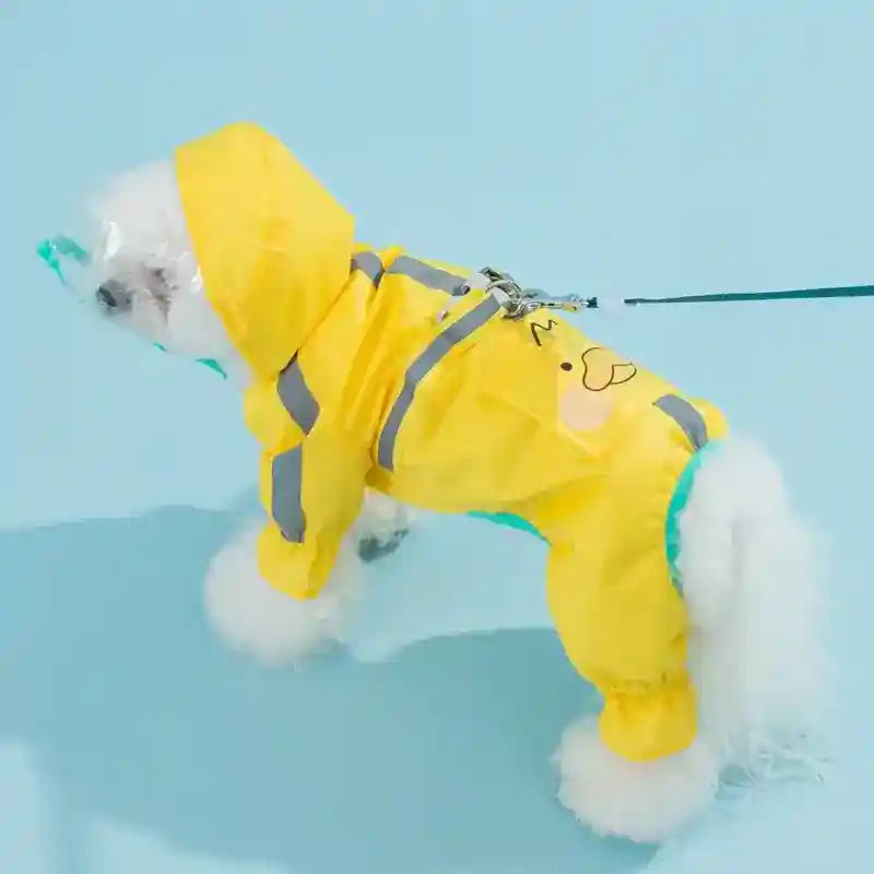 Small white dog wearing yellow raincoat with hood and face shield on blue background