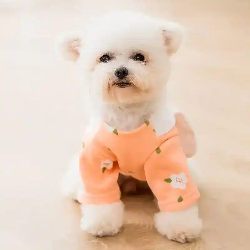 Felpa per cani rosa con colletto a forma di coniglio by Dog Moda