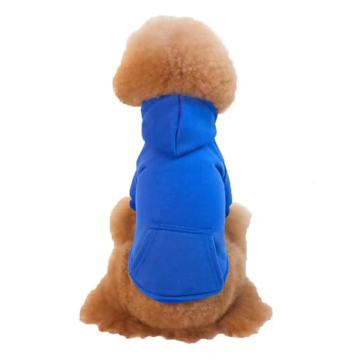 Maglia per Gatti con Cappuccio "Basic" e Taschino by Dog Moda