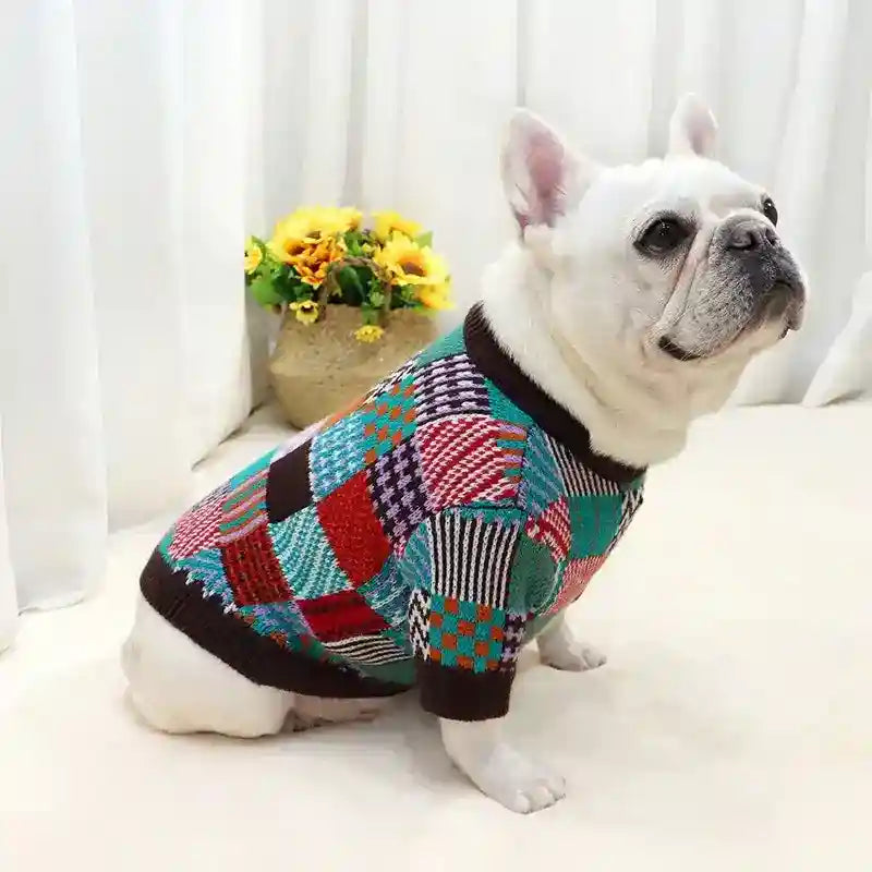 Maglione per Bulldog "Wool" in Lana – Caldo e Stile Contrasto by Dog Moda