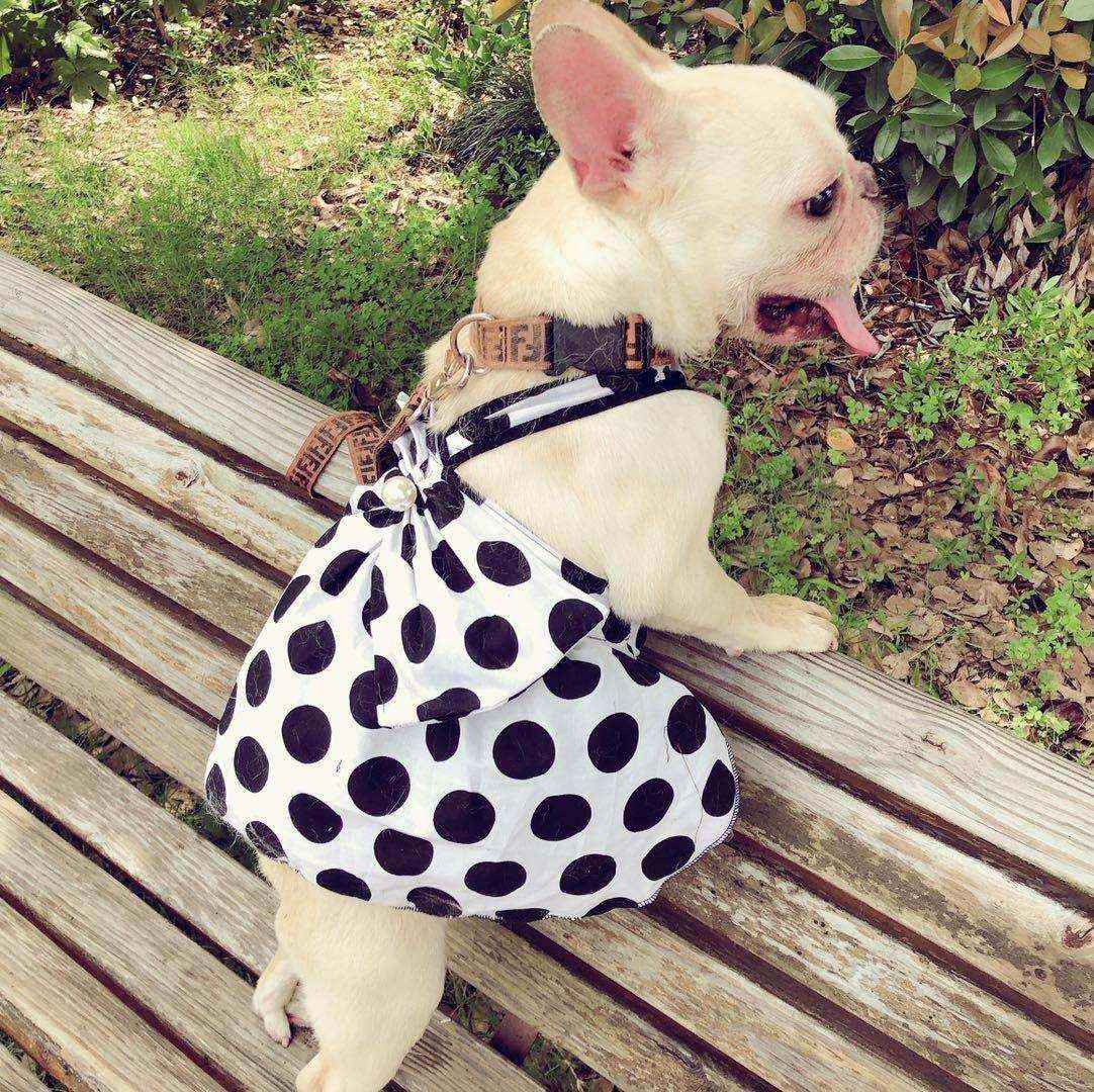 Vestito per Cani a Pois con Gonnellina e Fiocco by null