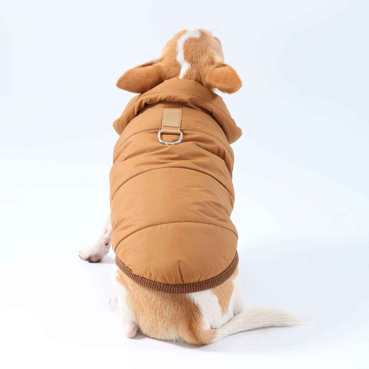 Cappotto per chihuahua e cani piccoli Orlando con pettorina - foto 4