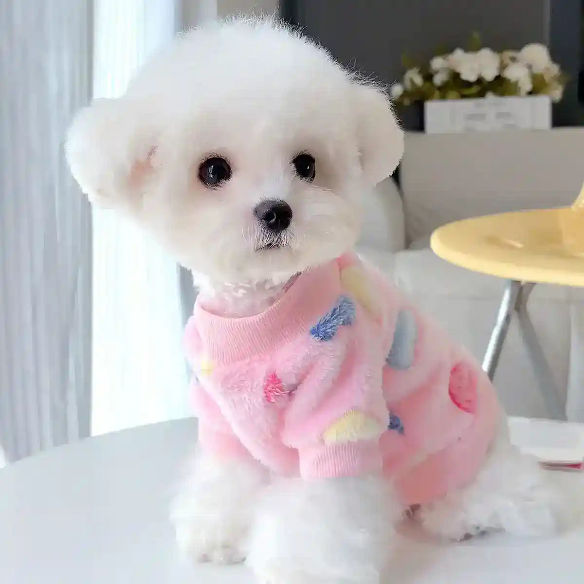 Felpa in pile per cani "Ruby" con fantasia ossetti e zampine | DogModa by Dog Moda