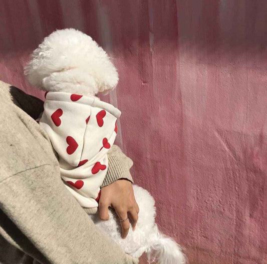Felpa per cani "Emily" con cappuccio e fantasia cuori | DogModa by Dog Moda