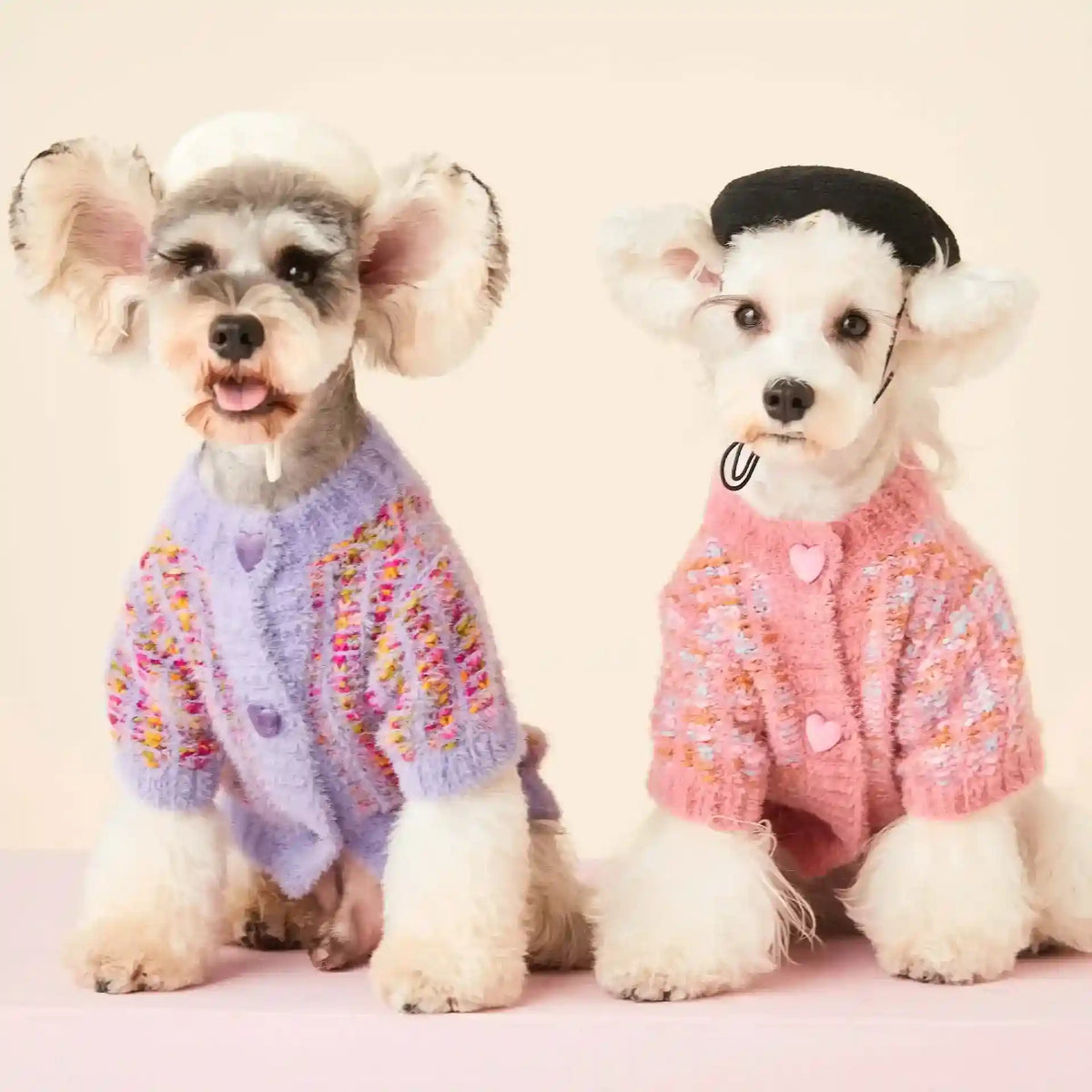 Maglione per cani "Cardigan" in lana con bottoni a cuore | DogModa by Dog Moda